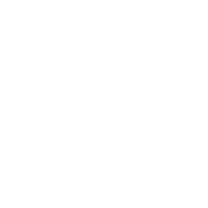 VIB'S
